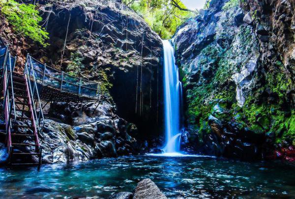 Things To Do Oropendula.jpg